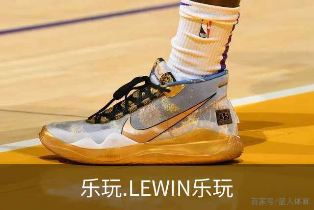 乐玩.LEWIN乐玩 公司简介